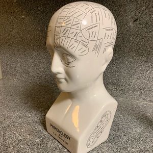 GIFT ALERT! Phrenology bust (statue/decor)